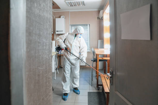 Best Mold Prevention Services  in Salem, UT