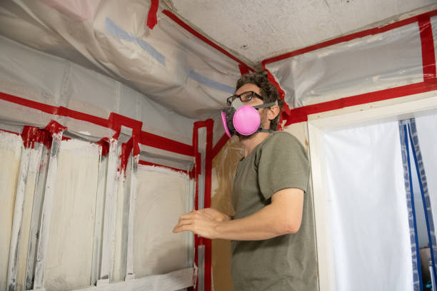 Best Residential Mold Inspection & Testing  in Salem, UT