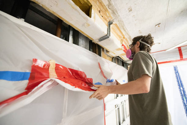 Best Forensic Mold Investigation  in Salem, UT